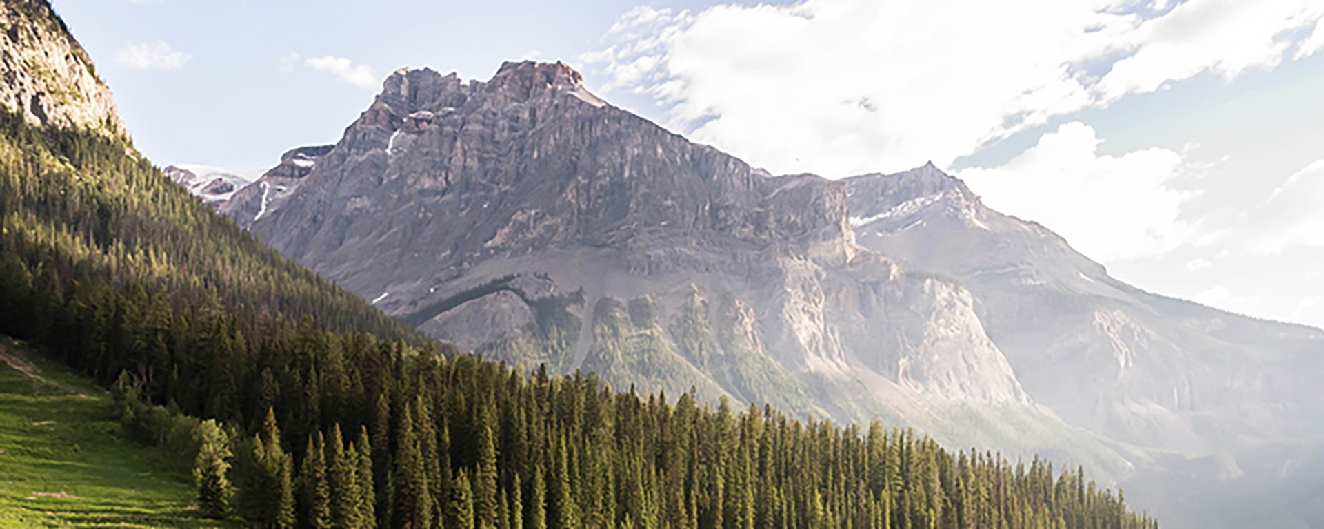 Meet Colorful Pencil